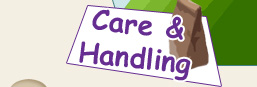 Care and Handling